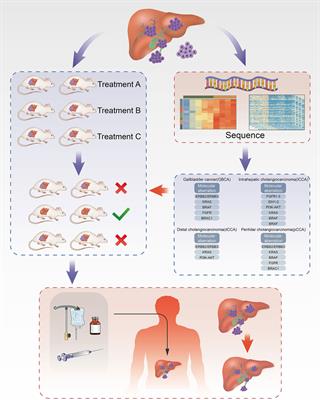 The Application Progress of Patient-Derived Tumor Xenograft Models After Cholangiocarcinoma Surgeries